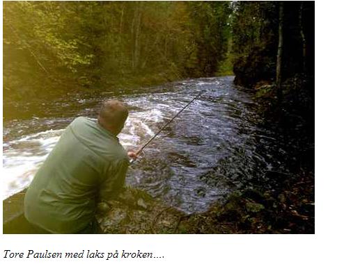 Nå biter laksen i den flomstore Hagneselva!